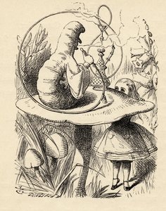 キャタピラーからのアドバイス、ルイス・キャロルによる「不思議の国のアリスの冒険」、1891年発行 作： John Tenniel